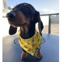 Haute Dox 'Shake 'N' Dog' Bandana